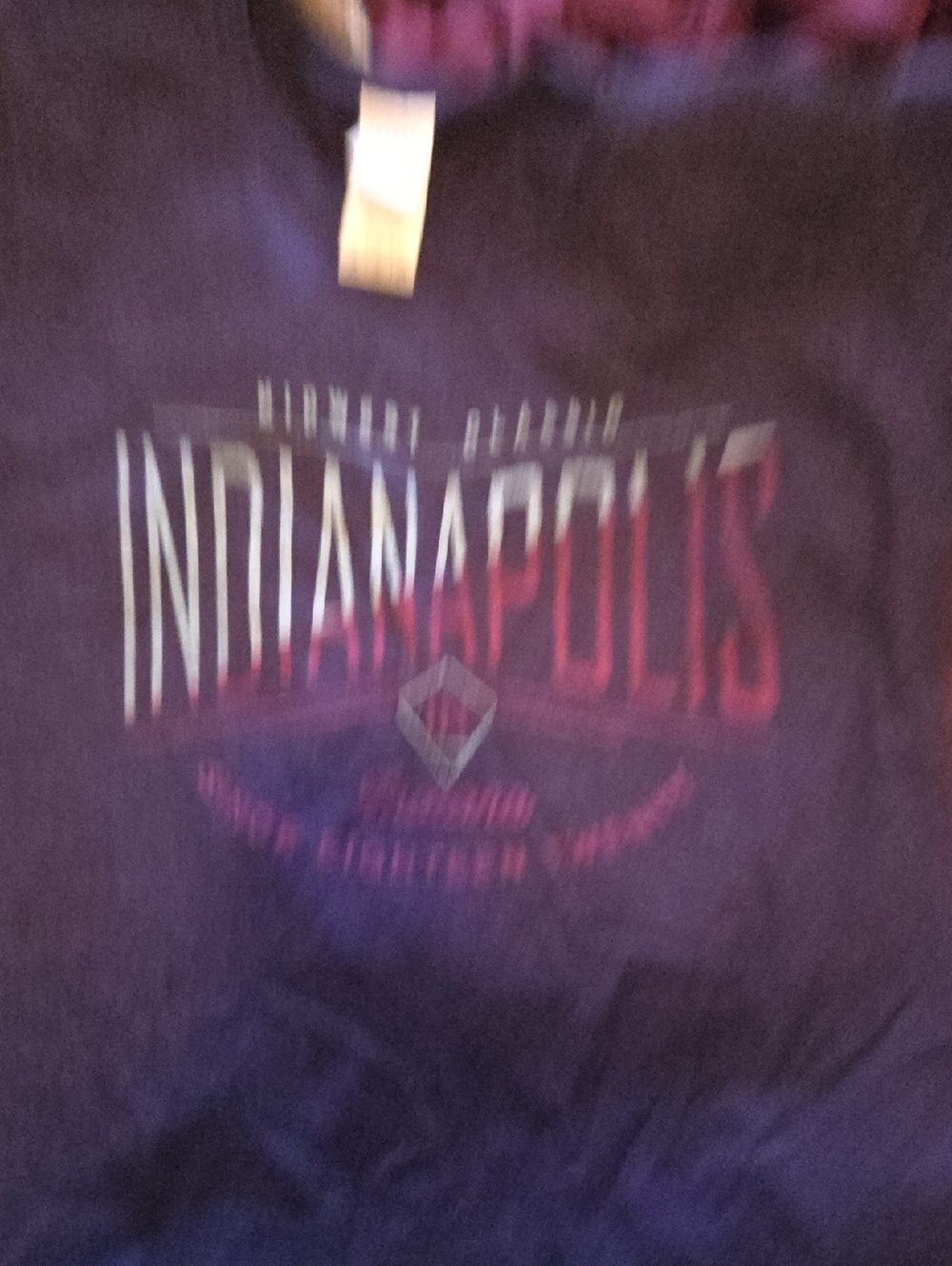 Gildan Purple Indianapolis Graphic Tee with Pink and White Print